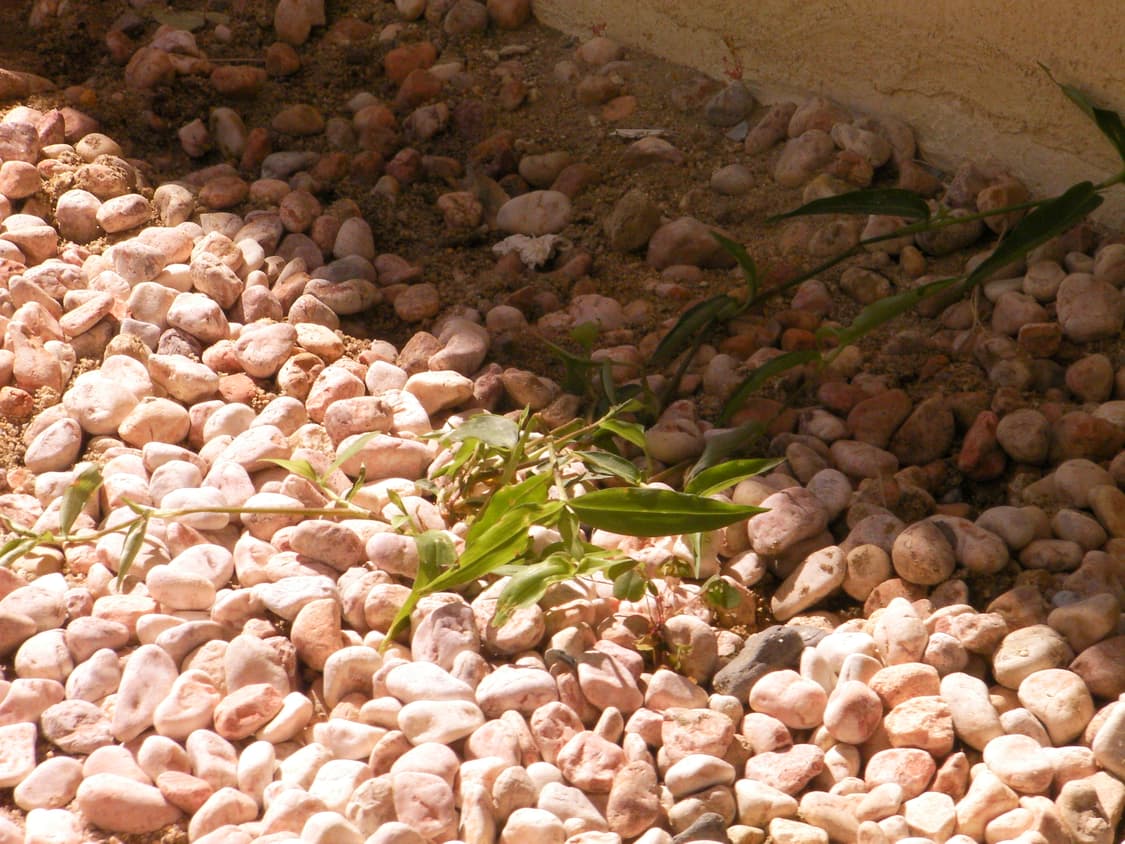 산요작티  cg9 상품이미지6