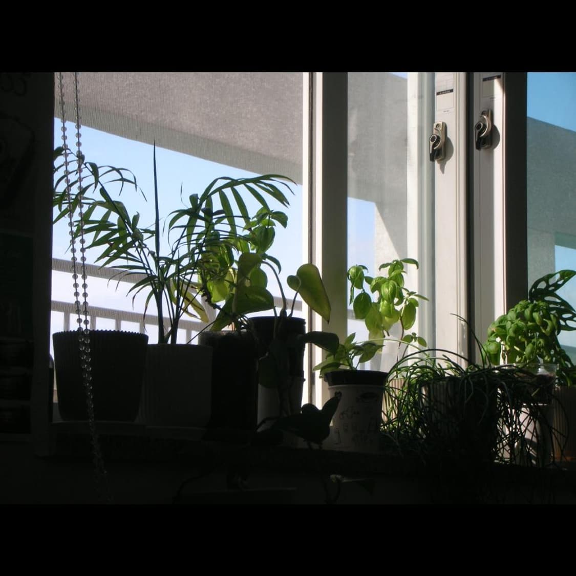 니콘 쿨픽스 S1 전용 케이스 펄 화이트🤍 빈티지 디카 디지털카메라 상품이미지6