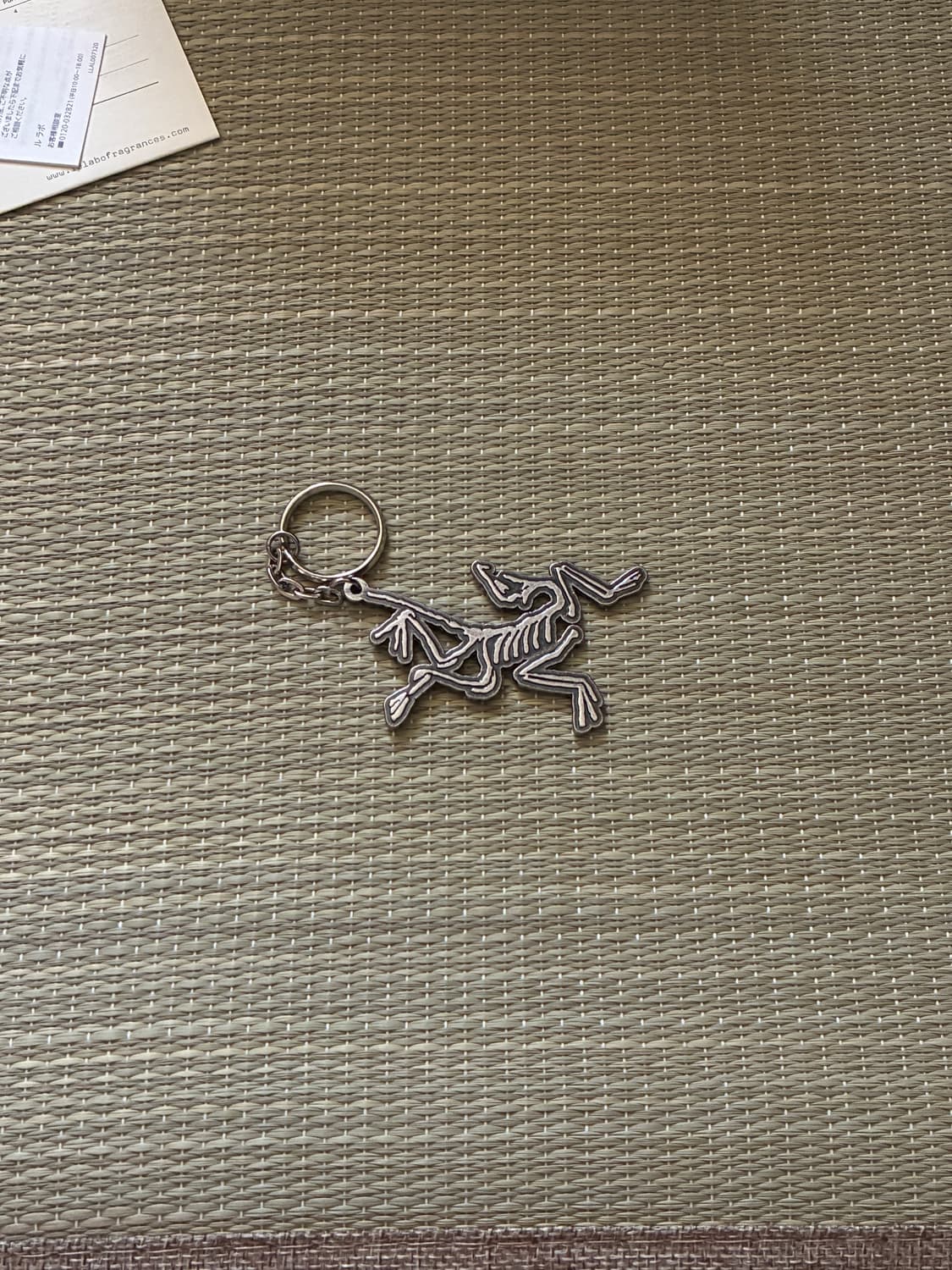 아크테릭스 키링 상품이미지1