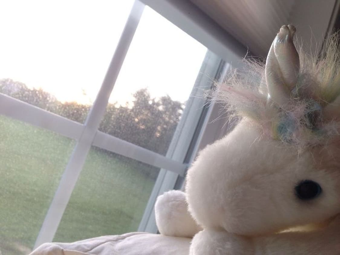 슈슈룸 택배 공지 상품이미지1