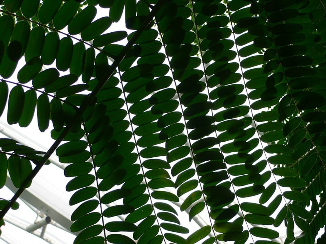 Panasonic lumix lx1 빈티지 디지털카메라 작례 O 상품이미지8