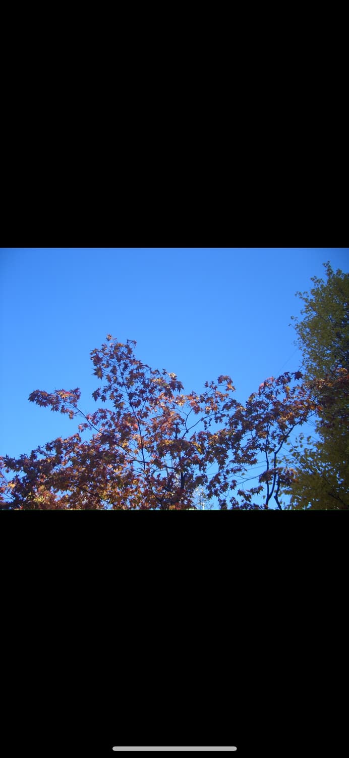 삼성 케녹스x60 디카 상품이미지10