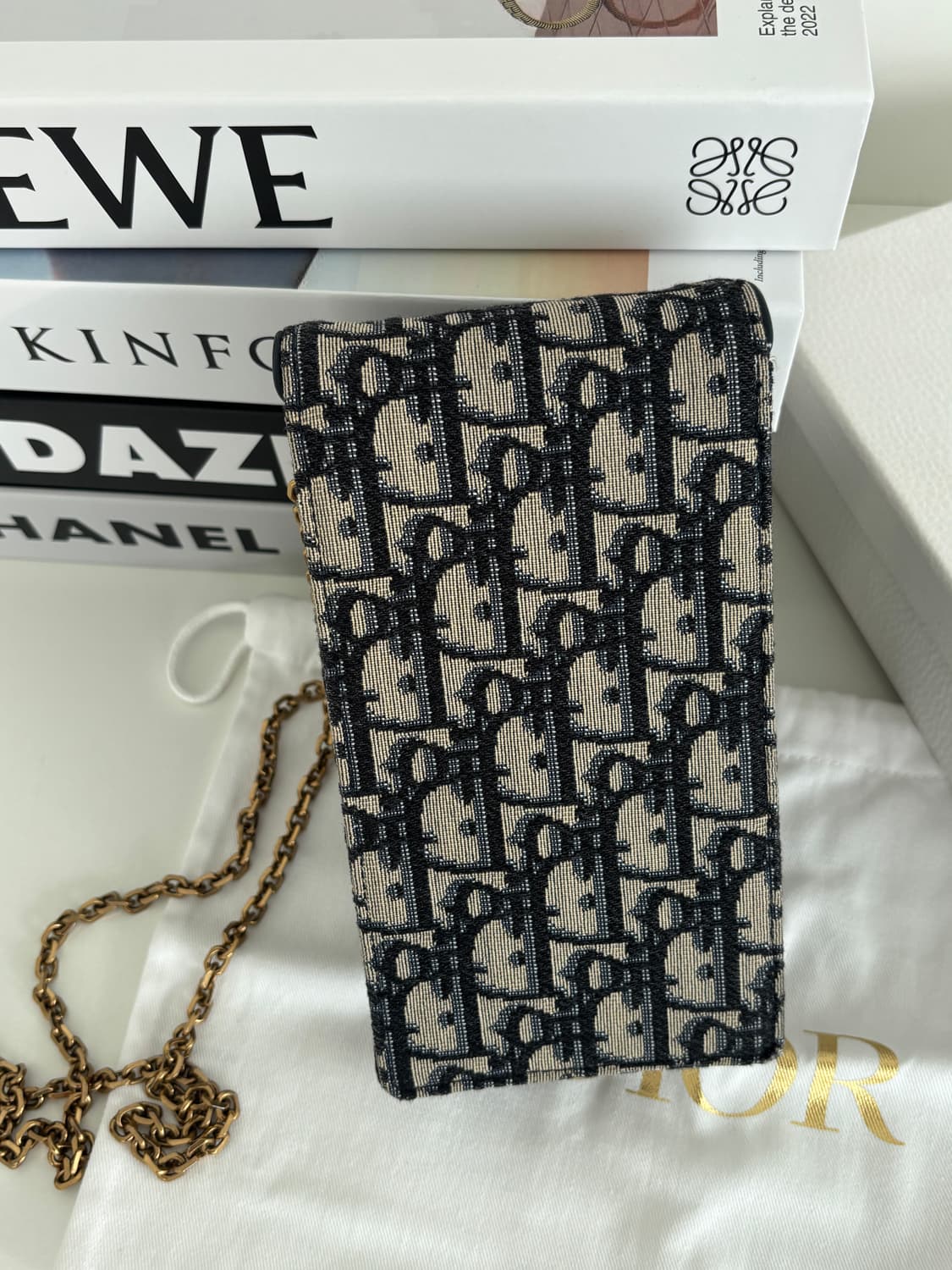 디올 오블리크 버티컬 새들 파우치 상품이미지5