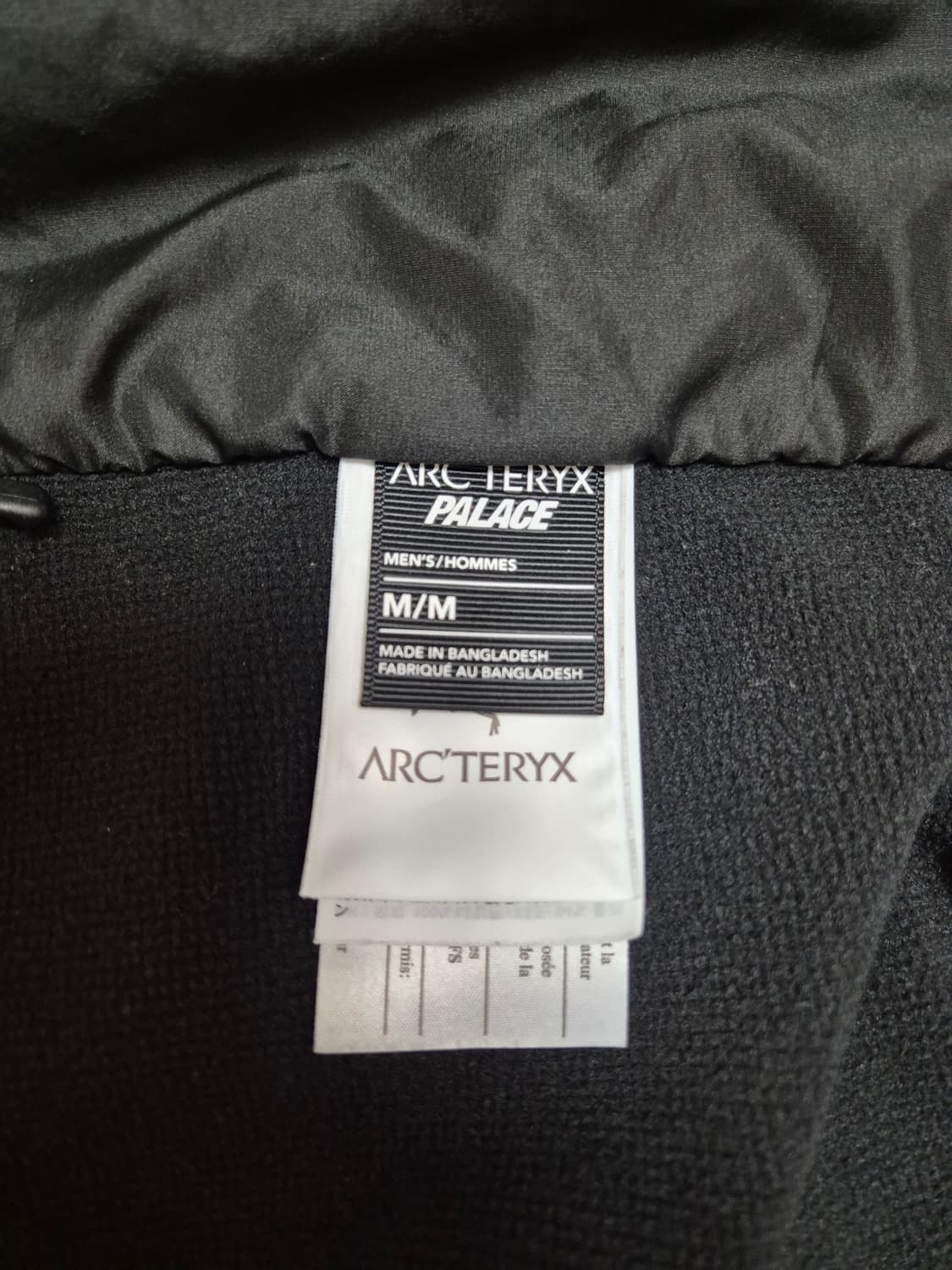 M) 아크테릭스 팔라스 아톰 Lt 자켓 상품이미지7