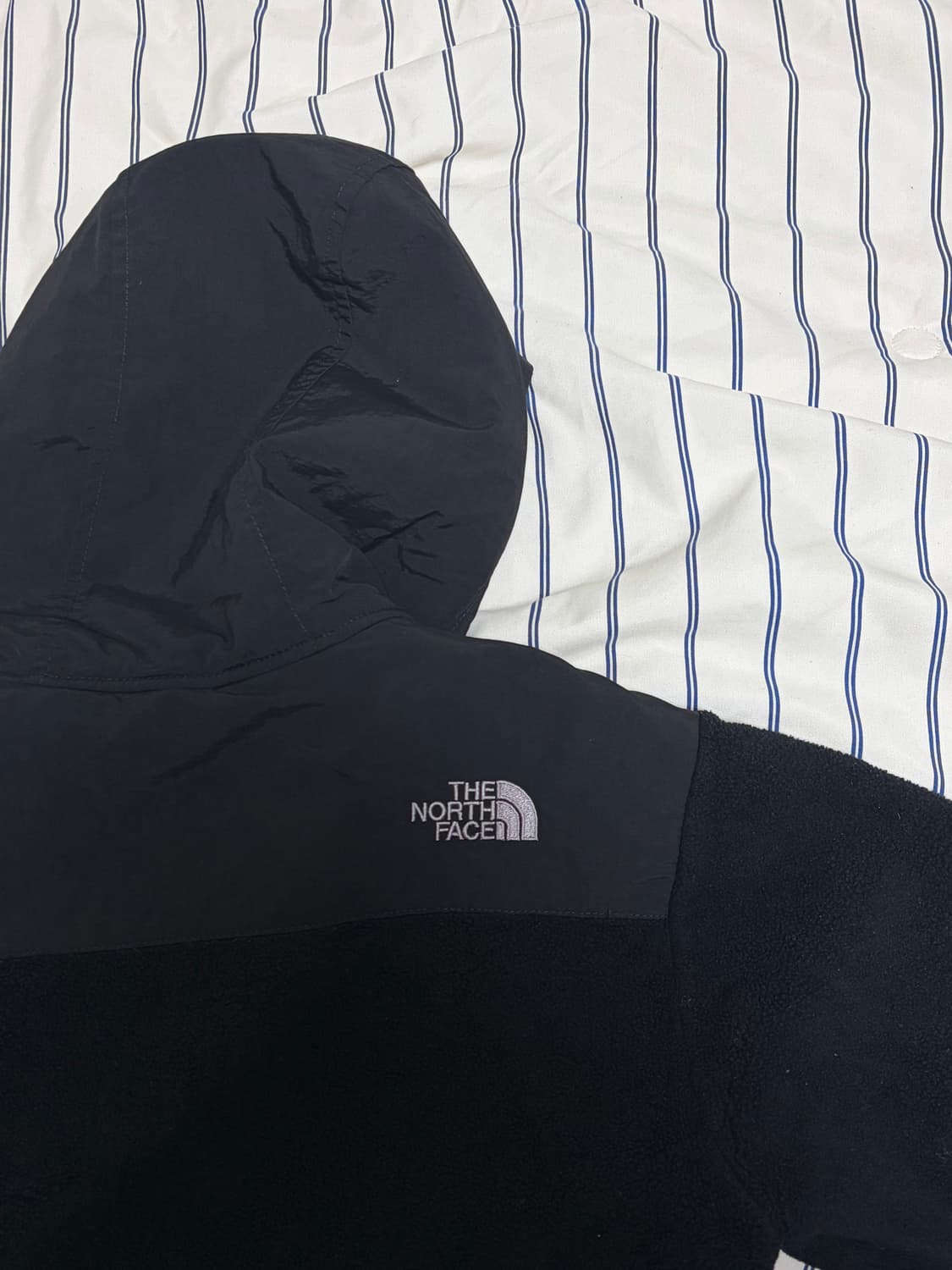 해외판 노스페이스 데날리 후드자켓 상품이미지3