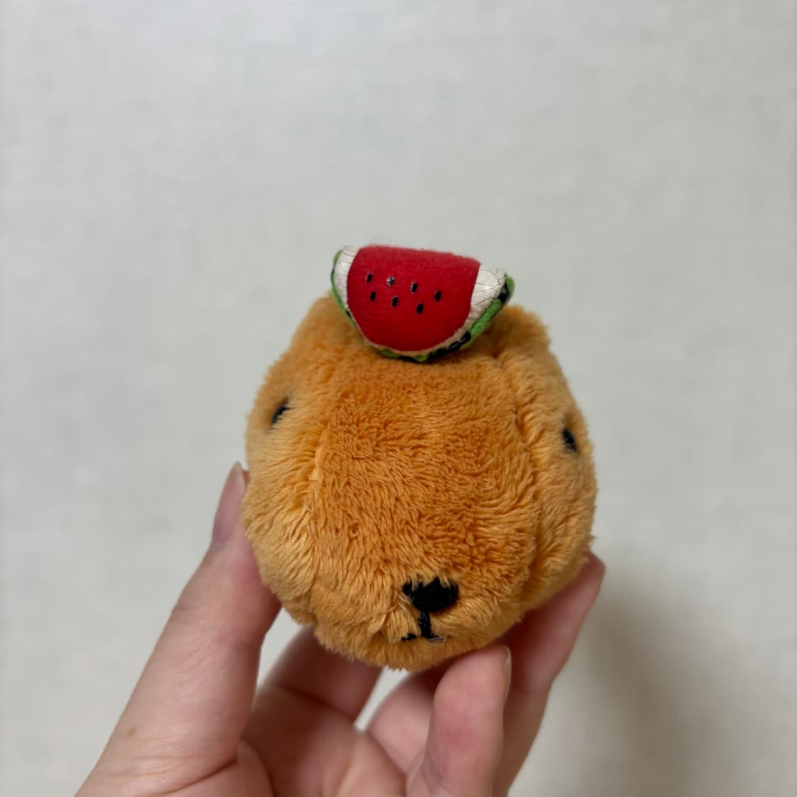 고전 빈티지 수박 카피바라상 인형 상품이미지2