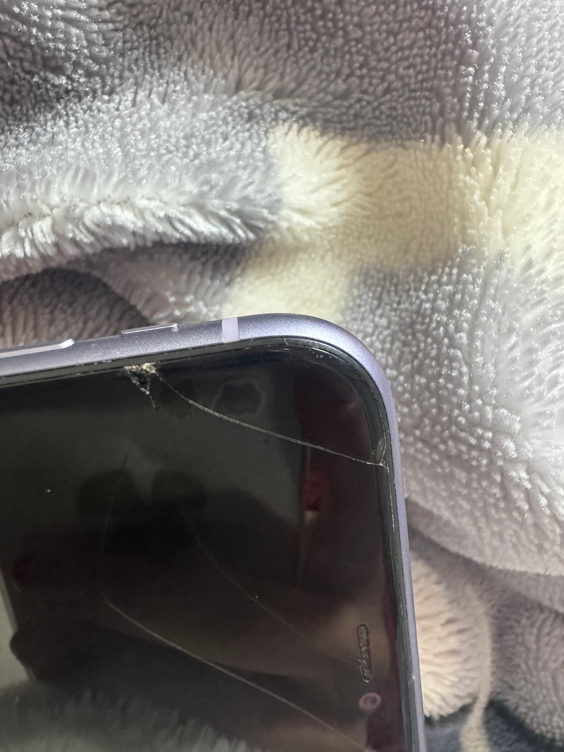 아이폰 11 퍼플 상품이미지3