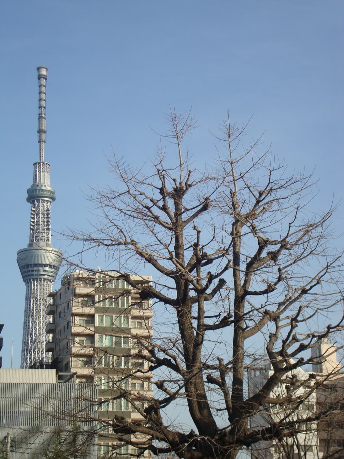 소니 사이버샷 dsc w210 똑딱이 디카 (빈티지 카메라) 상품이미지6