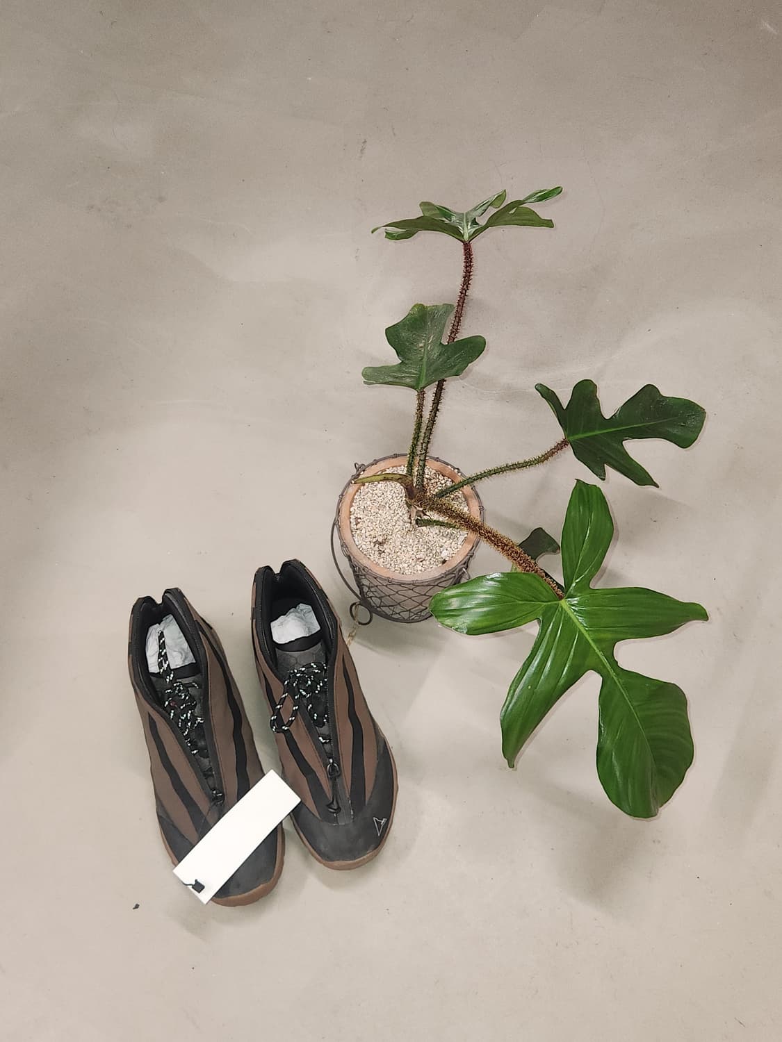 ROA 로아 테리 상품이미지2