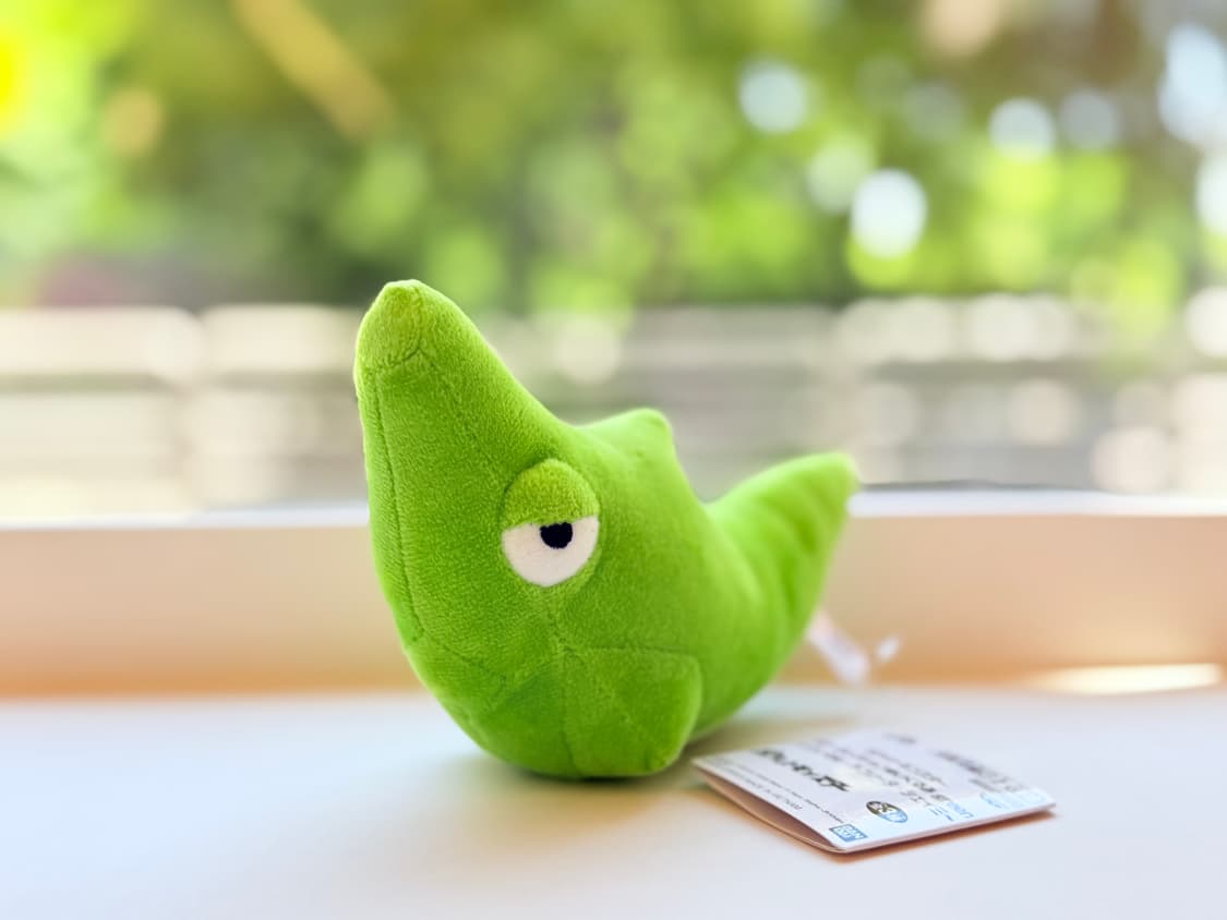 일본 반프레스토 포켓몬 컬러 셀렉션 그린 단데기 봉제인형 상품이미지2