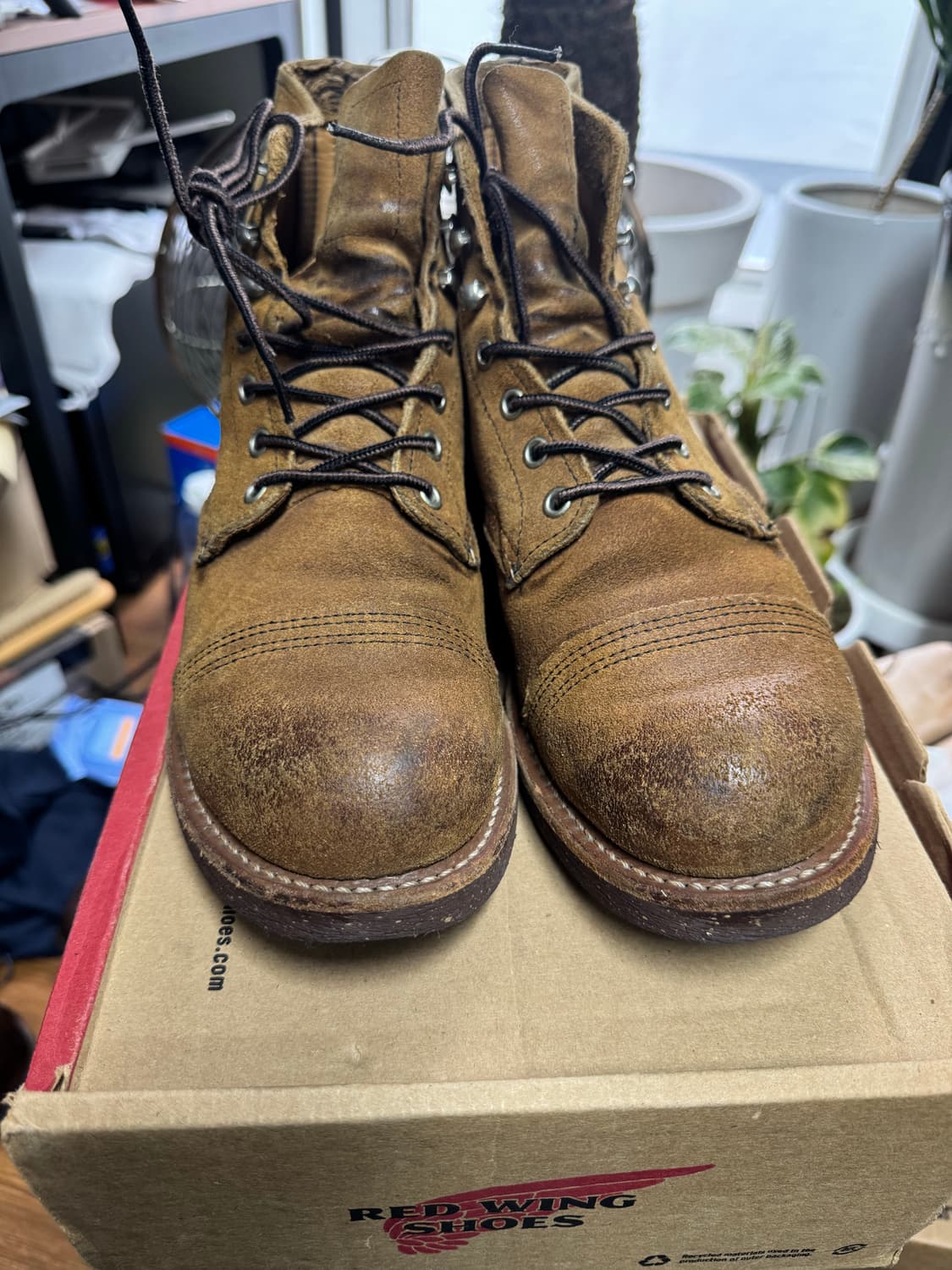 레드윙 아이언레인저 8113 호손뮬스키너 270  상품이미지3