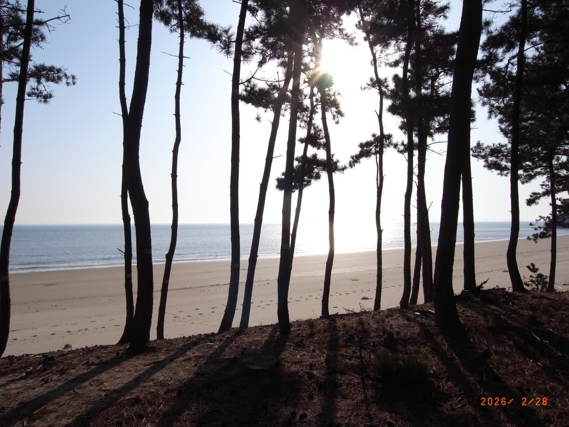 (작례!)Ricoh Caplio GX200디카 상품이미지5