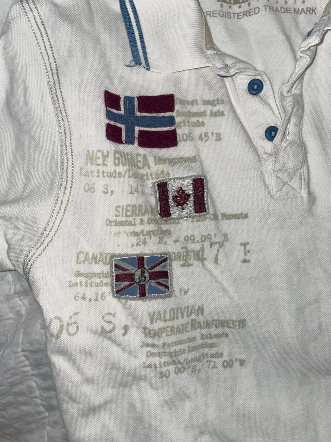 Vintage flag polo shirt 상품이미지3