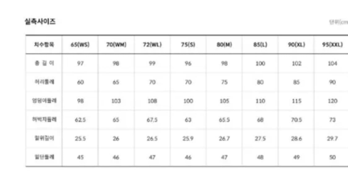노스페이스 PO 팀코리아 아이스런 카고 팬츠 XL 90 상품이미지2