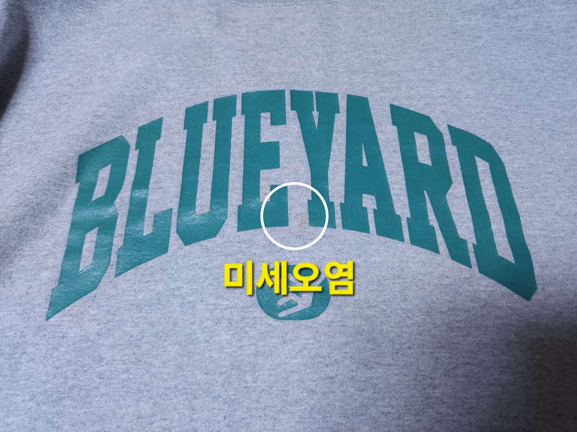 CHAMPION 챔피온 X 블루야드 스펠아웃 맨투맨, 스웻셔츠 XL 상품이미지9