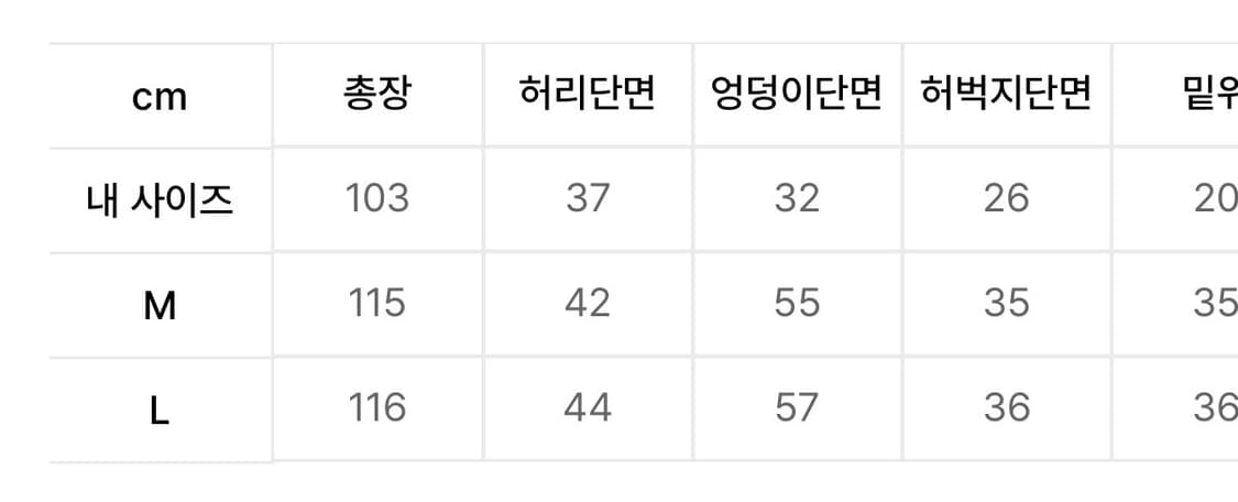 선데이오프클럽 카고 와이드 플레어 트라우저 차콜 M 상품이미지2