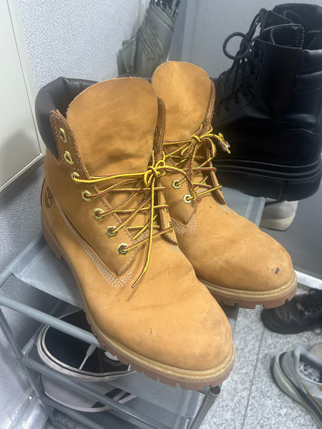 (280) 팀버랜드 6인치 프리미엄 워터프루프 부츠 10061 상품이미지1