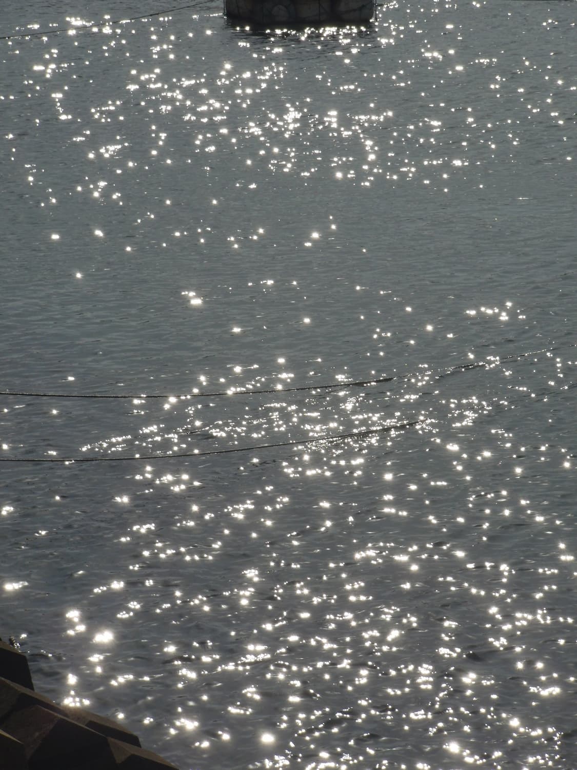 (레어)카시오 엑슬림 FH100 상품이미지6