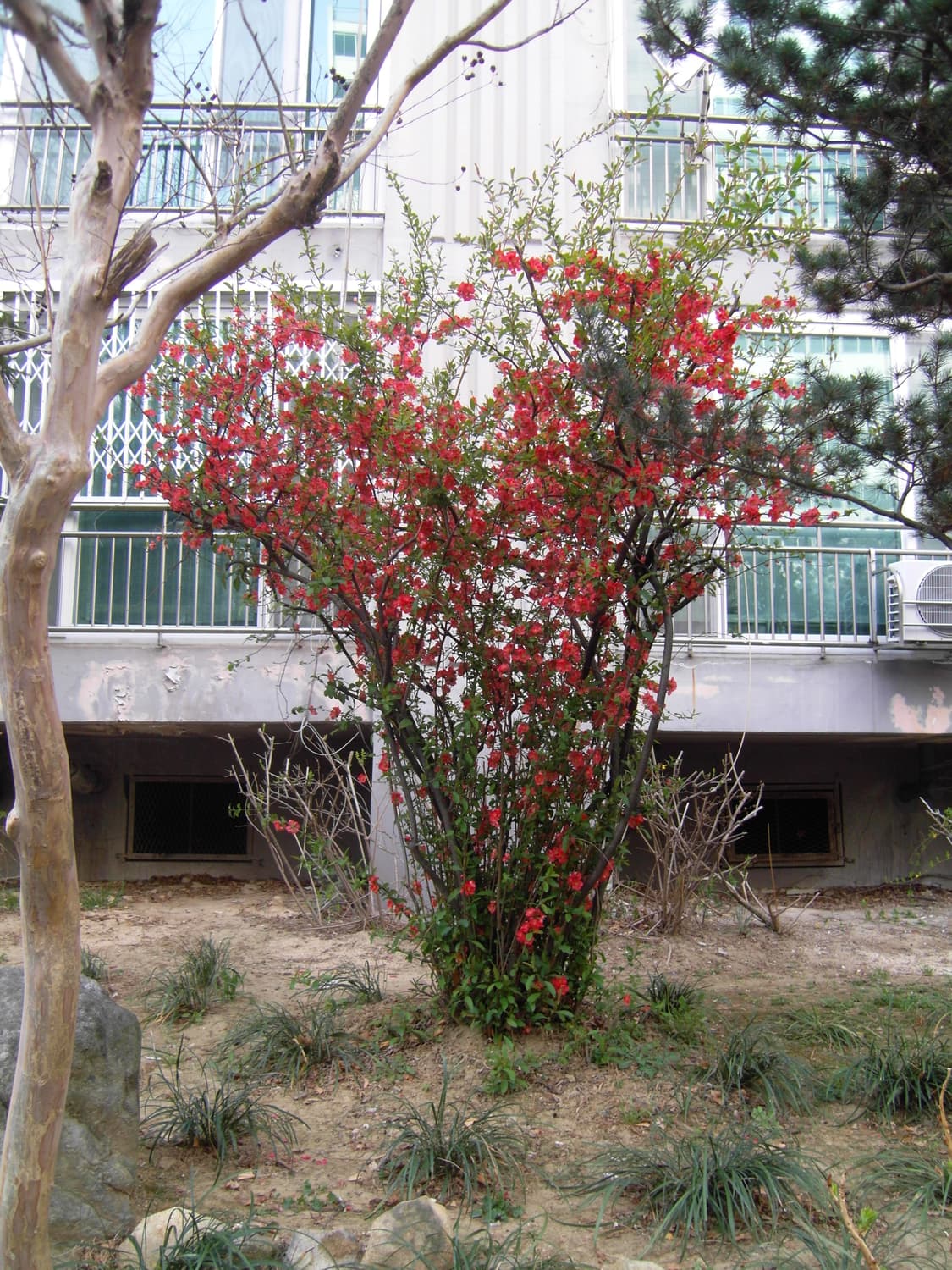 삼성 VLUU NV 100HD 디지털카메라  상품이미지9