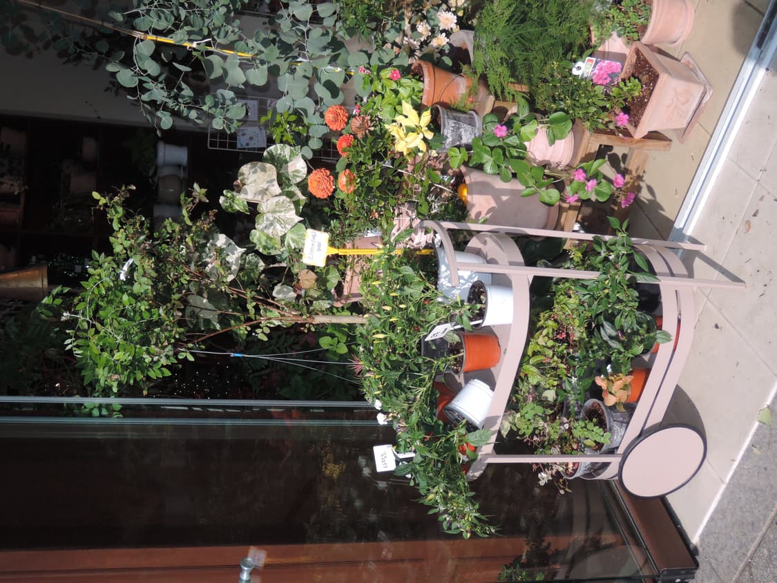 (결과물0) 니콘 p330 *레전드 카메라 상품이미지10