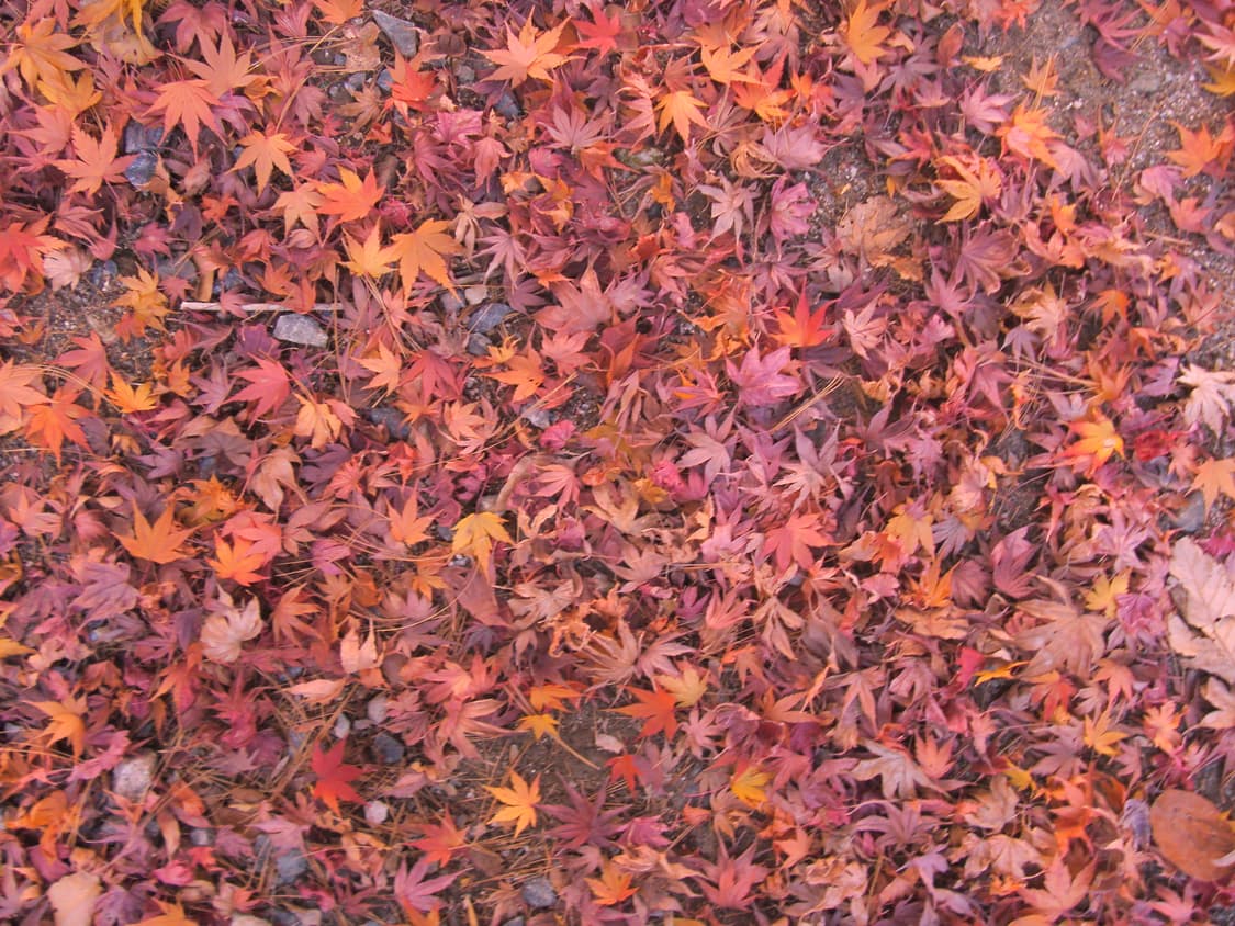 삼성 i70 상품이미지9