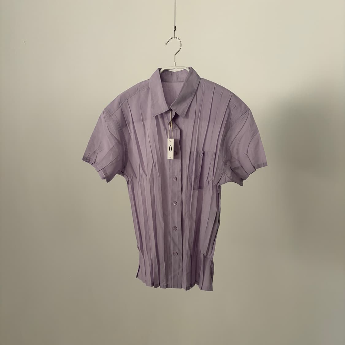 Wrinkle Pleats Blouse 상품이미지1