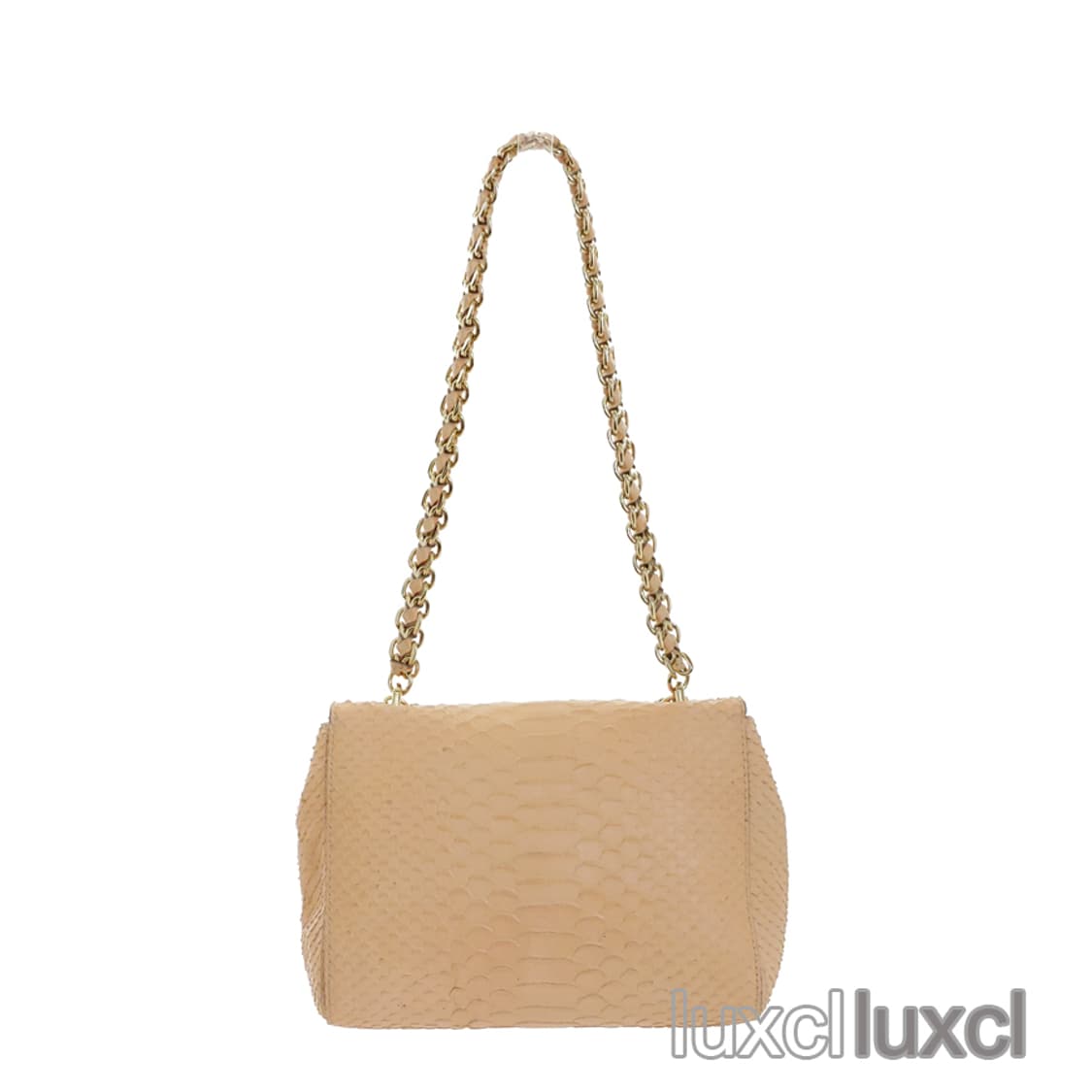 [정품] 멀버리 세실리 파이톤 스킨 사첼 숄더백 상품이미지3