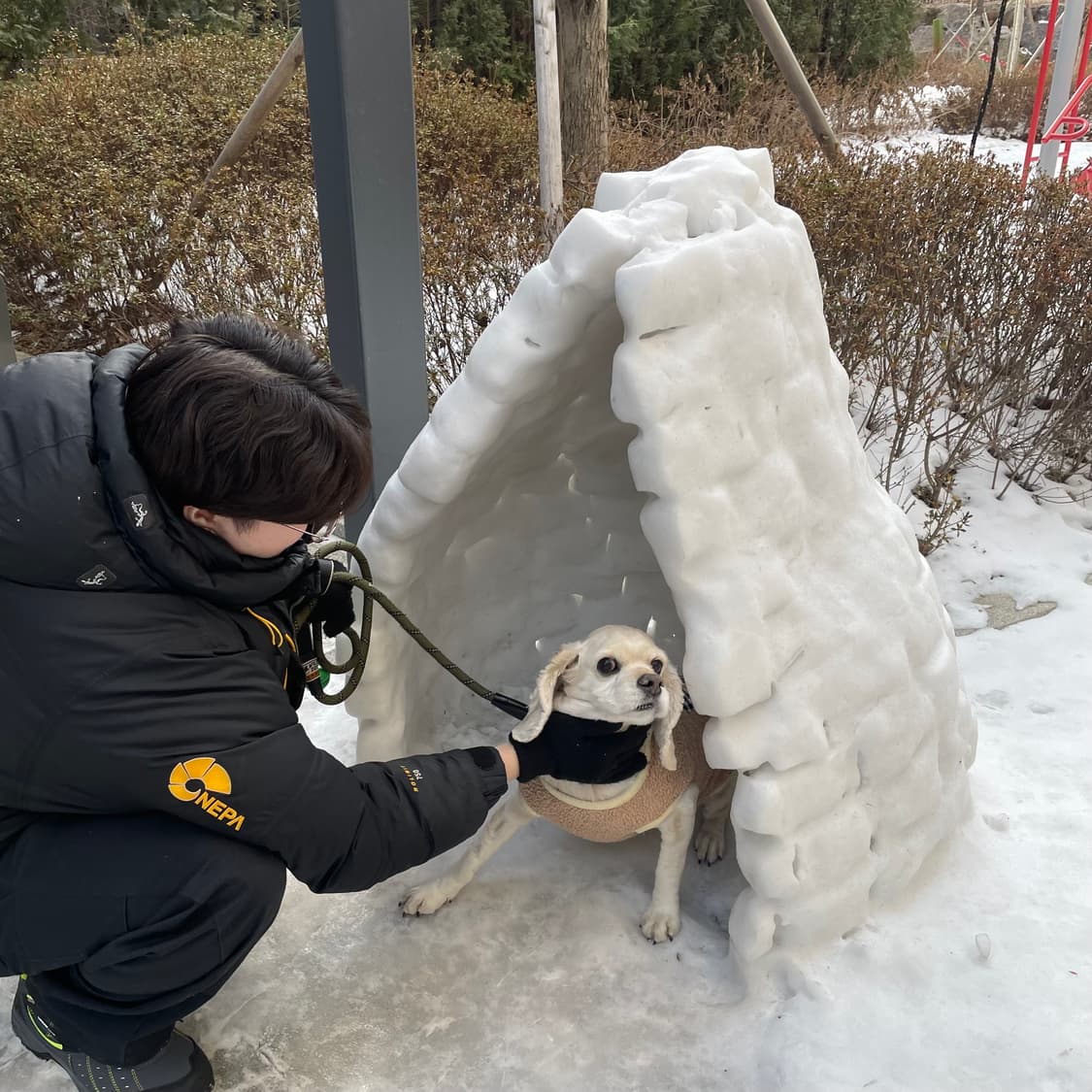 네파 그린란드 히말라야 대장 패딩 상품이미지5