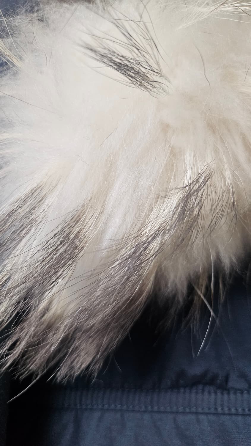 질스튜 폭스퍼 패딩 S 상품이미지4