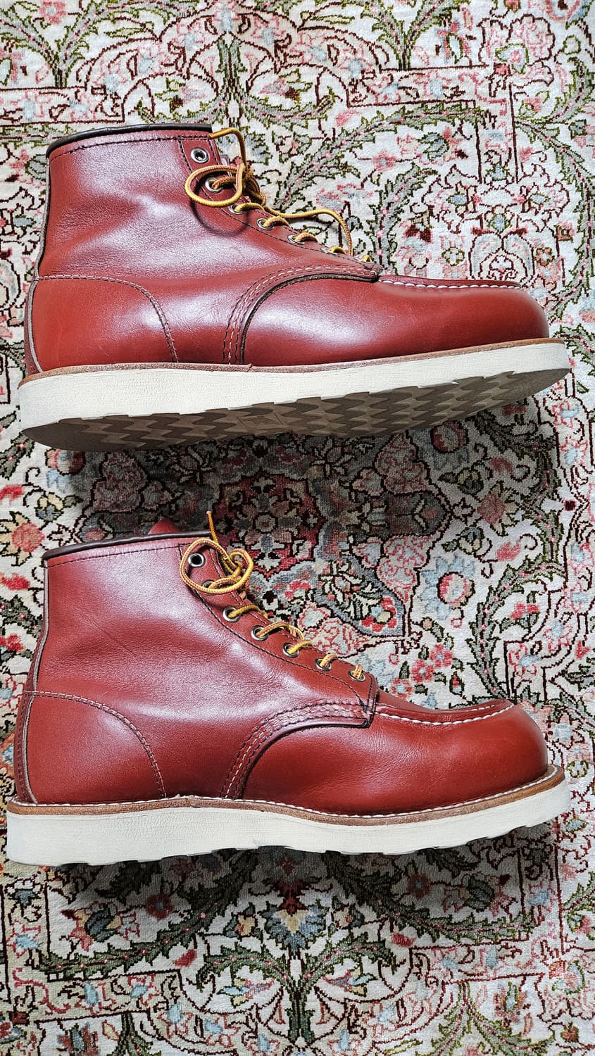 레드윙 8875 8.5E 풀박스 슈트리 케어용품 상품이미지3