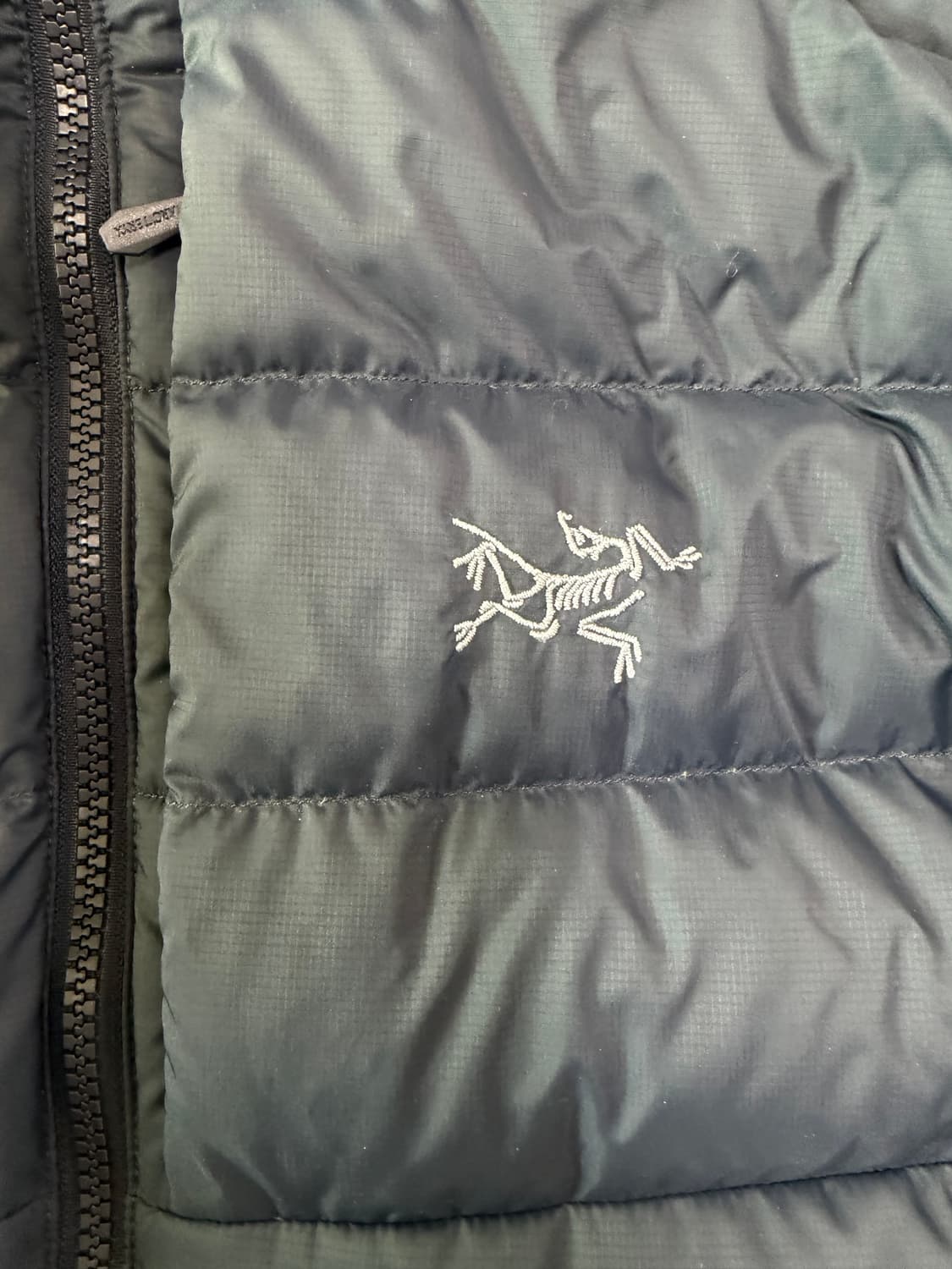 아크테릭스 토륨 L 상품이미지3