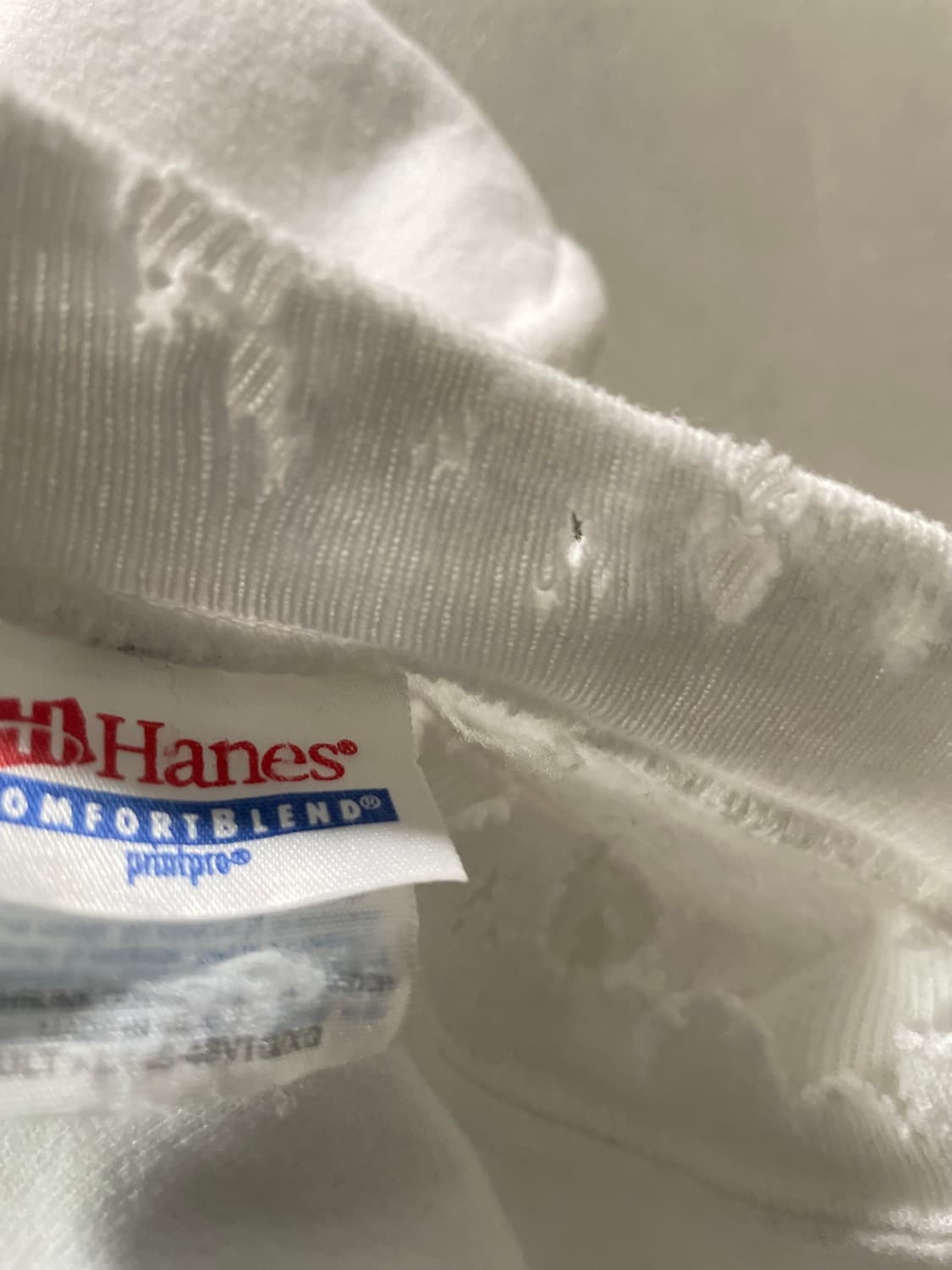 Hanes Sweatshirtr 상품이미지3