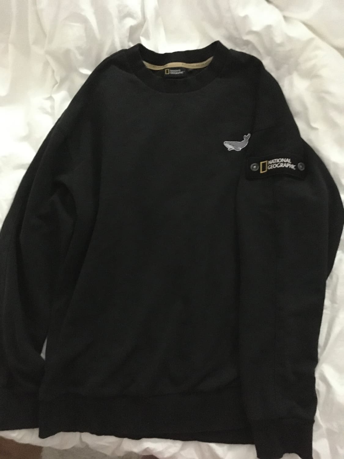 내셔널 지오그래픽 맨투맨 상품이미지2