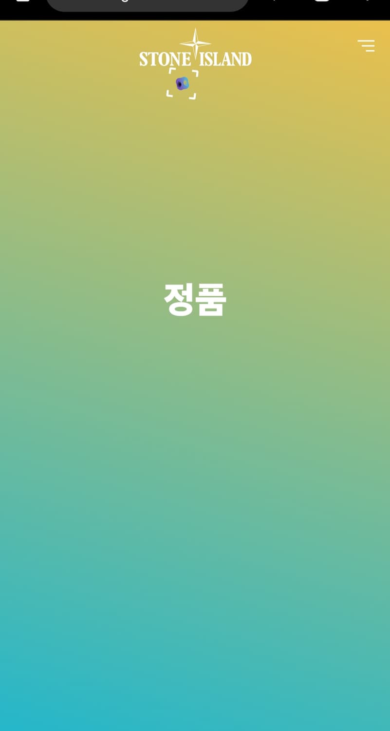 스톤아일랜드 화이트 와펜 후드티  상품이미지8