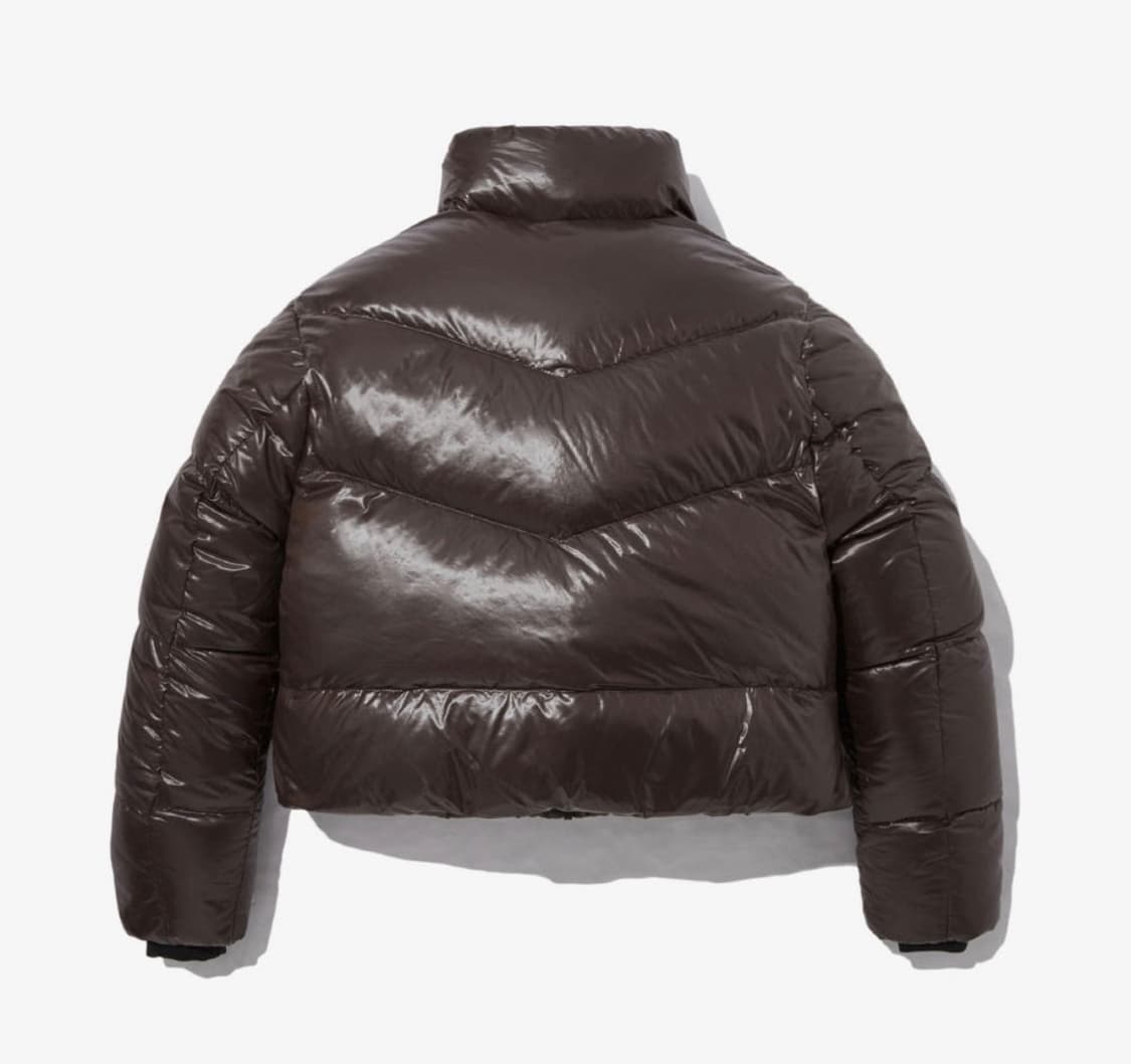 노스페이스 글로시 다운 패딩 브라운 상품이미지2