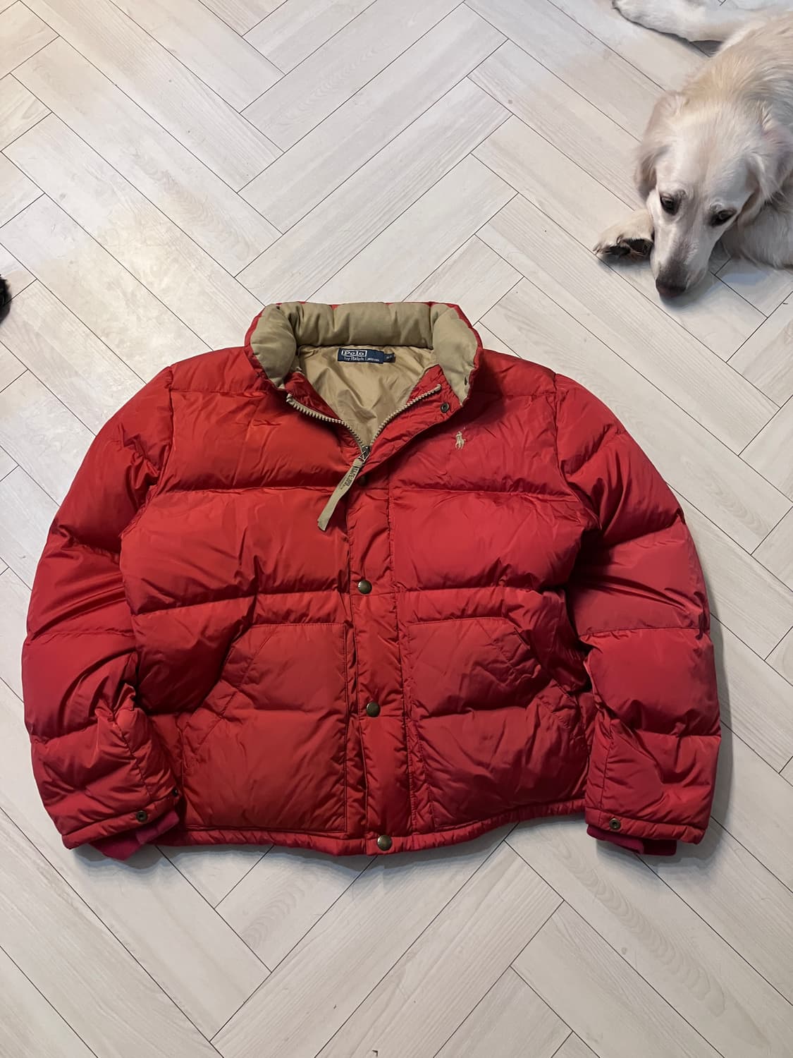 폴로랄프로렌 적다운 100~105 상품이미지2