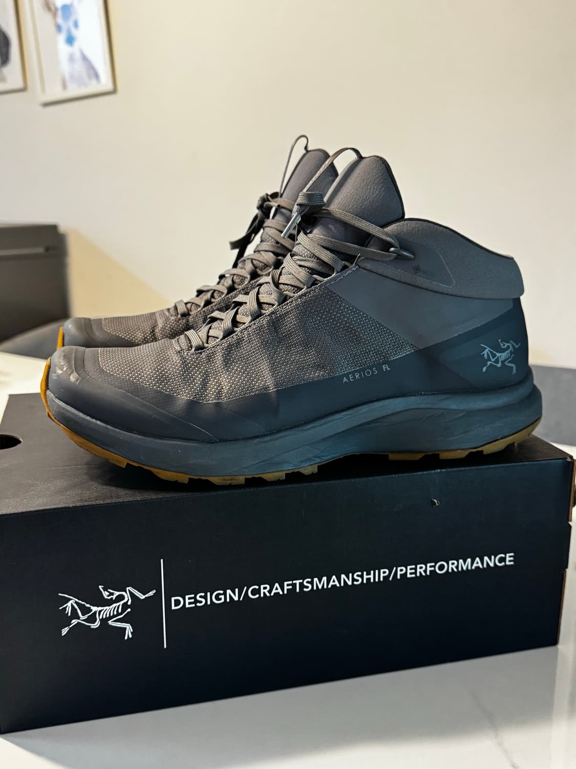 아크테릭스 에어리어스 미드 gtx FL2 size 270 상품이미지3