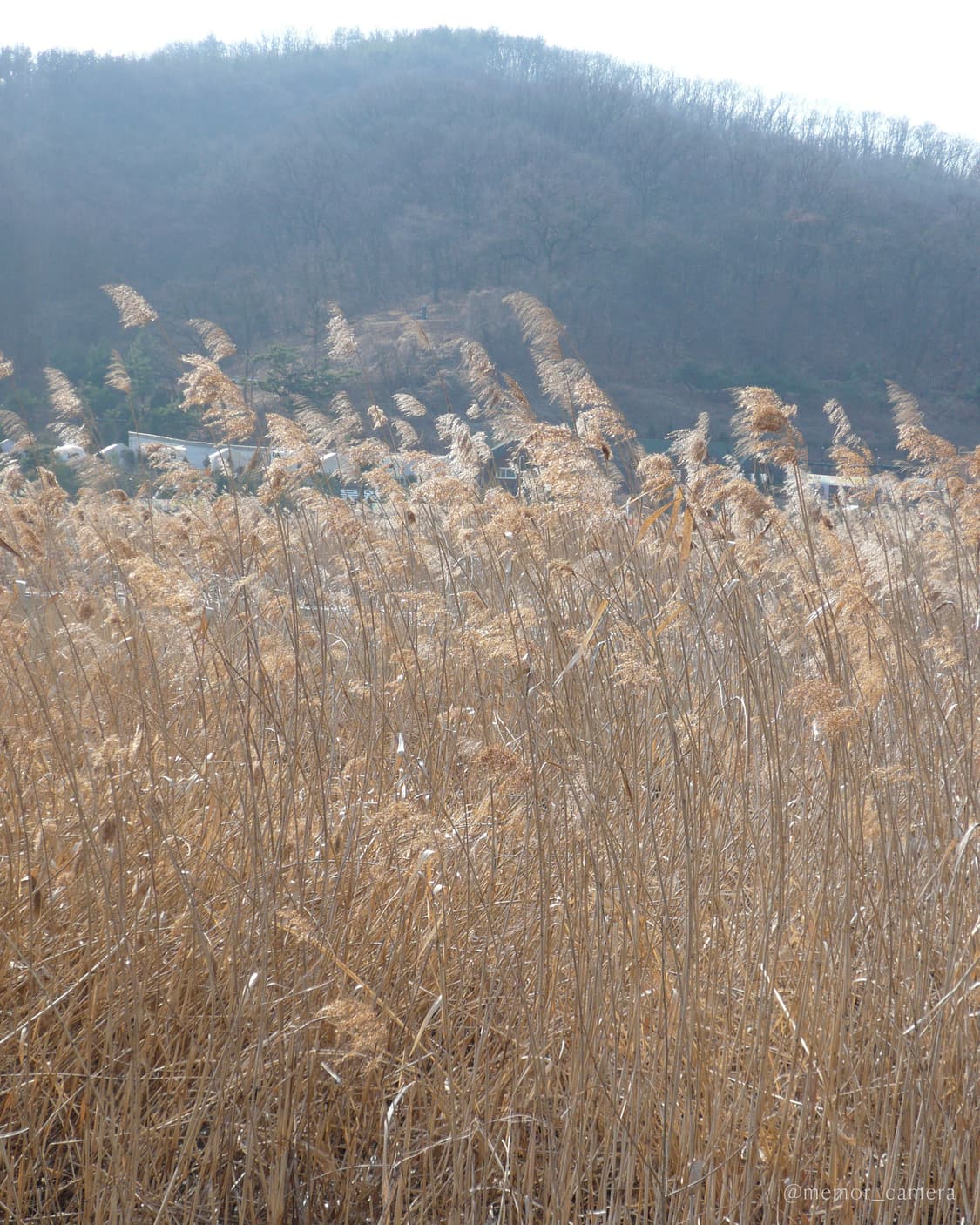 라이카렌즈💎Panasonic DMC-FX100 파나소닉 빈티지디카 상품이미지7