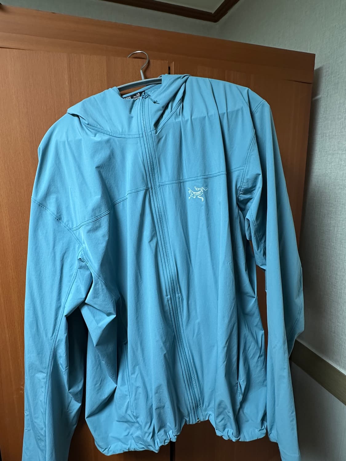 아크테릭스 감마 라이트웨이트 후디(L) 상품이미지5