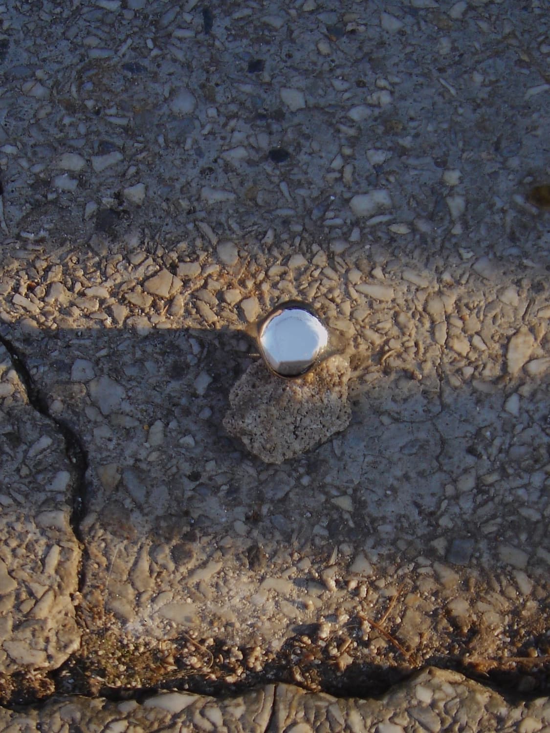 Oval Silver Open Ring 상품이미지5