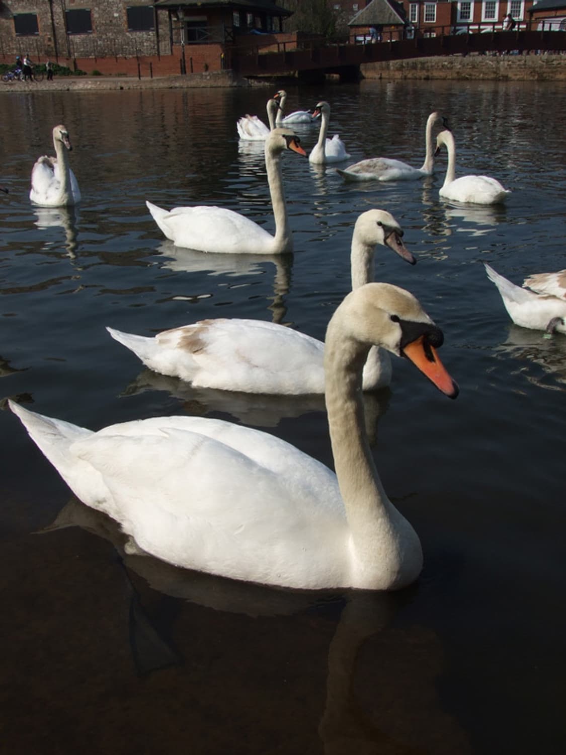 📸 Fujifilm FinePix Z5 (Z5fd) 상품이미지3