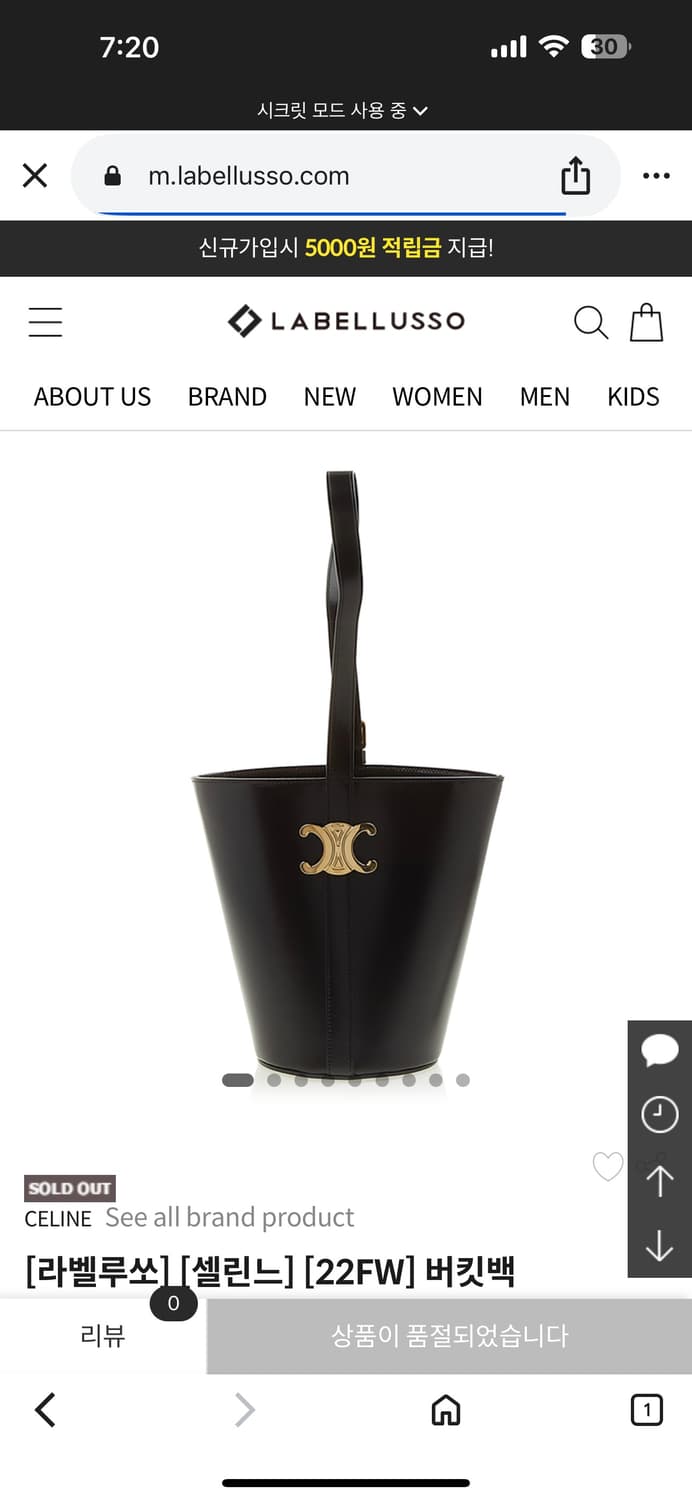 셀린느 버킷백 샤이니 카프  상품이미지1