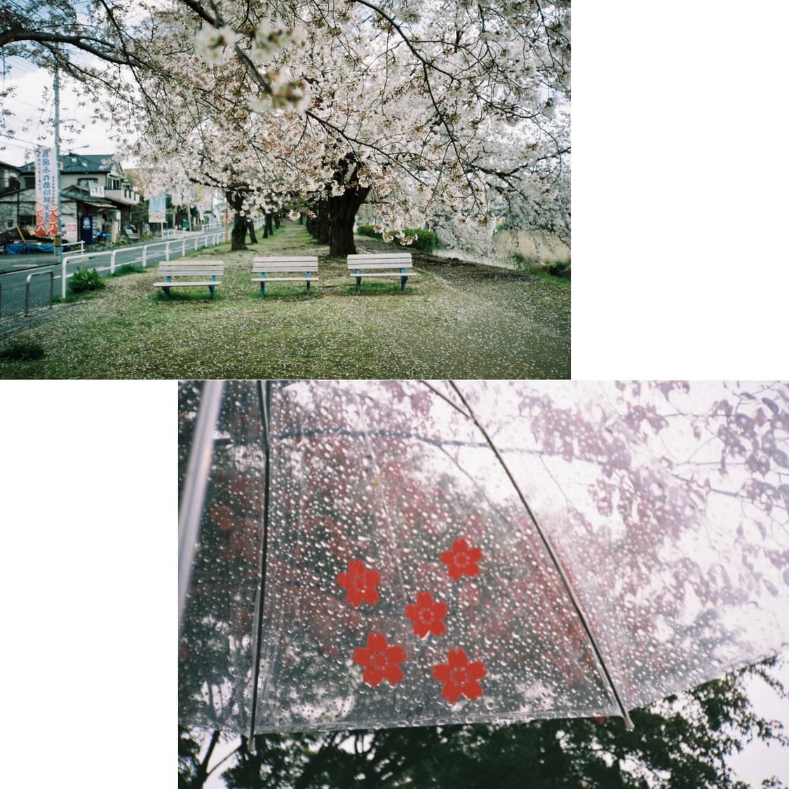 코니카 c35 플래쉬매틱 박스세트 (작례 0) 상품이미지3