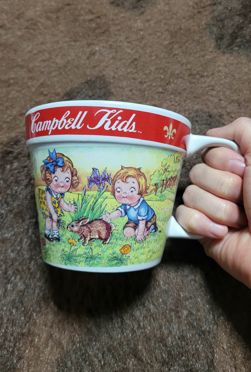 미국 캠벨 키즈 스프볼 (큰컵) 상품이미지4