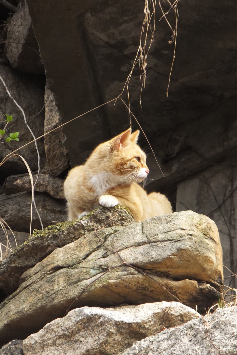 fujifilm 카메라 f900exr (작례) 상품이미지9