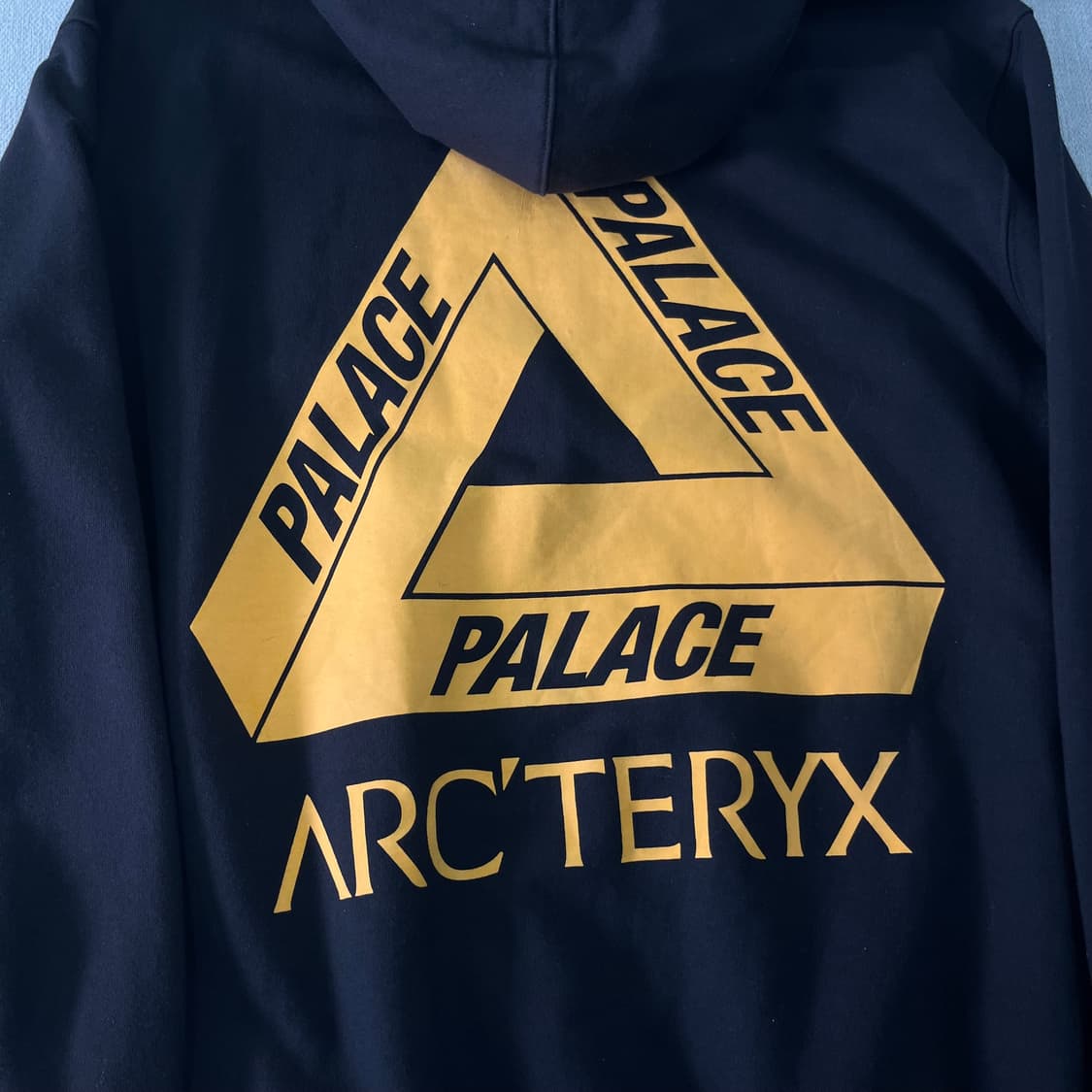 105 아크테릭스 x 팔라스 후드티 상품이미지5