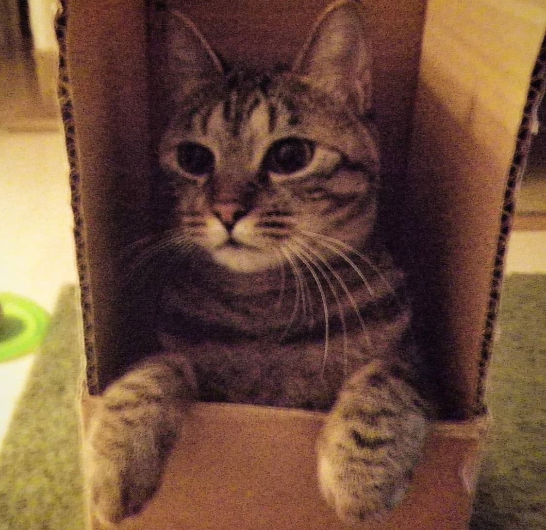 펜탁스 optio ws80 상품이미지5