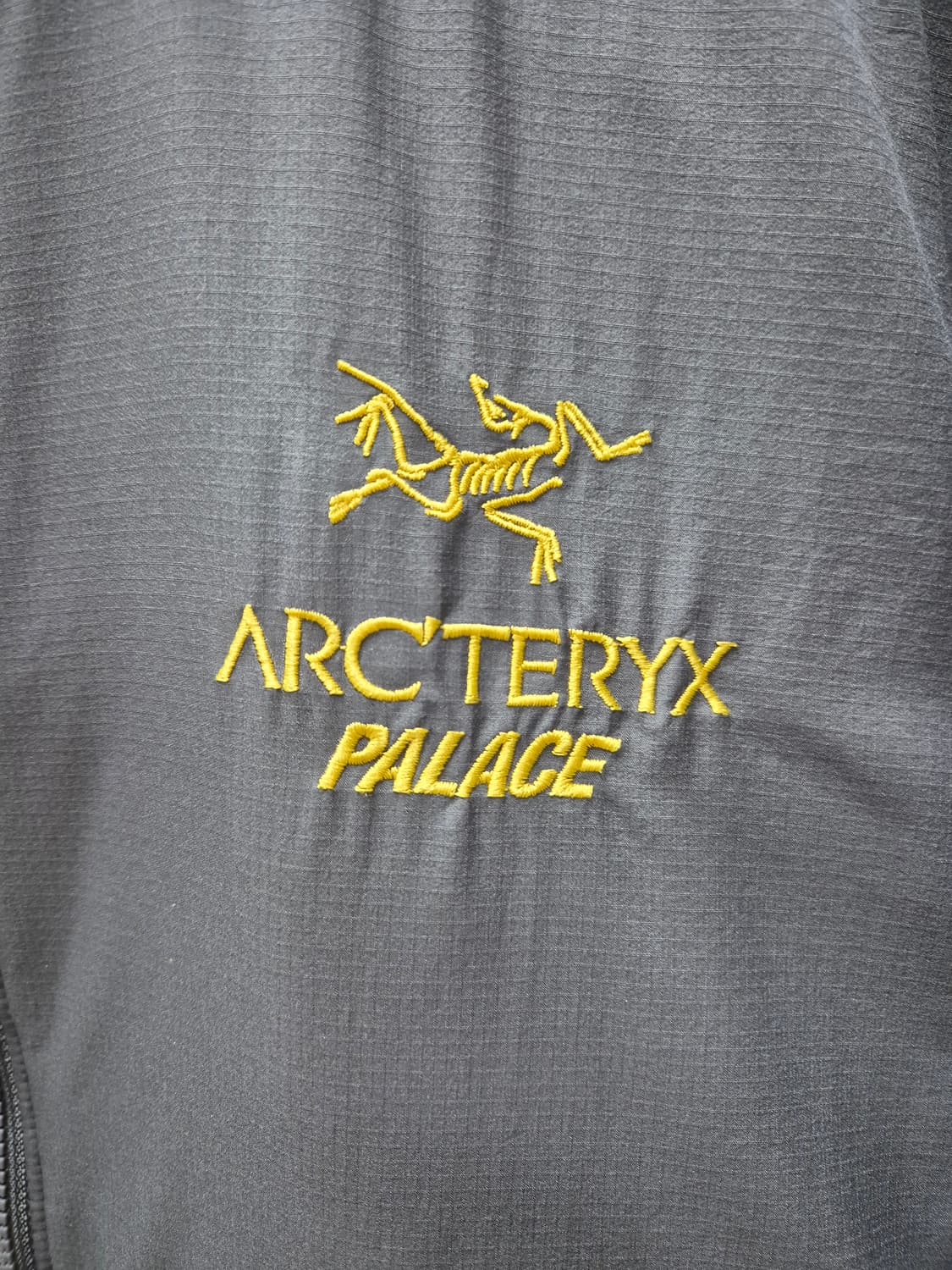 M) 아크테릭스 팔라스 아톰 Lt 자켓 상품이미지2