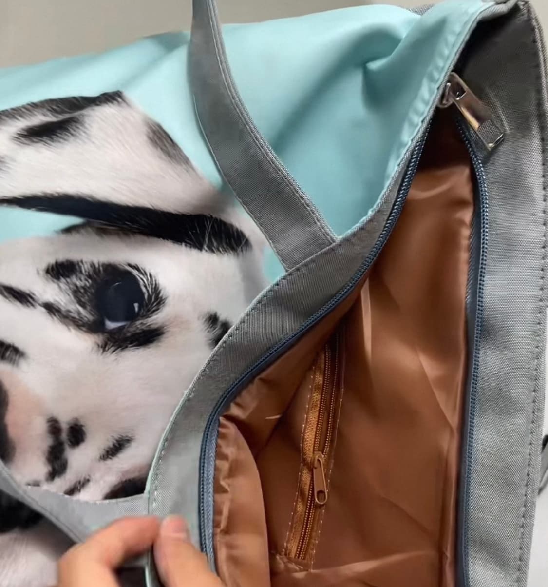 강아지 프린팅 민트 숄더백 상품이미지3