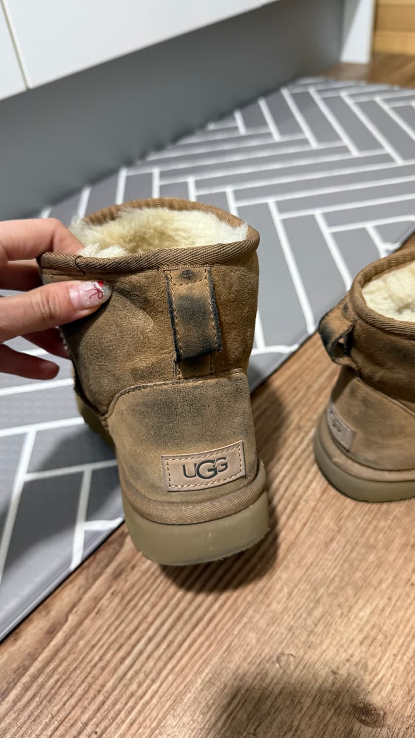 어그 캐슈넛 미니 240 정품 상품이미지4